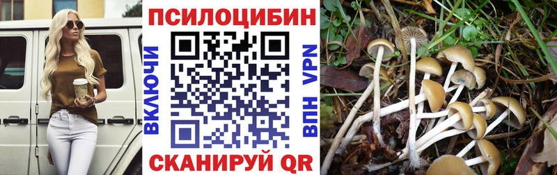 сколько стоит  Балей  Псилоцибиновые грибы MAGIC MUSHROOMS 